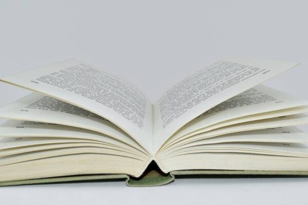 programmes en filière pro