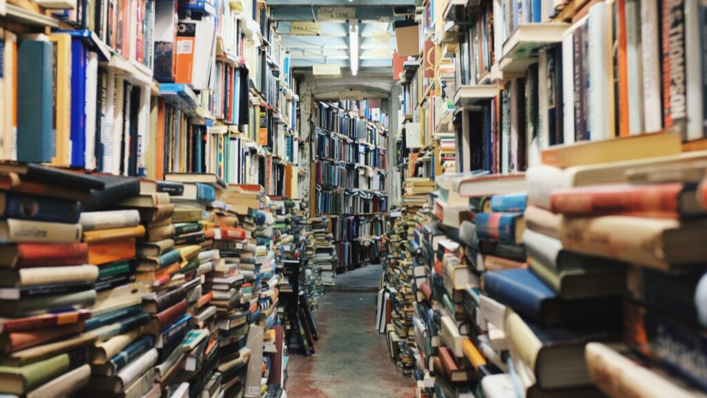 manuels universitaires