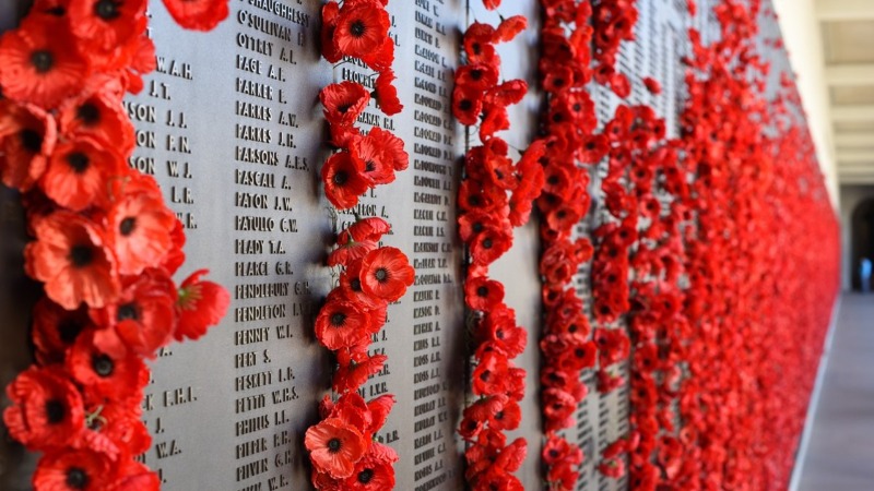 Le parfum des fleurs la nuit