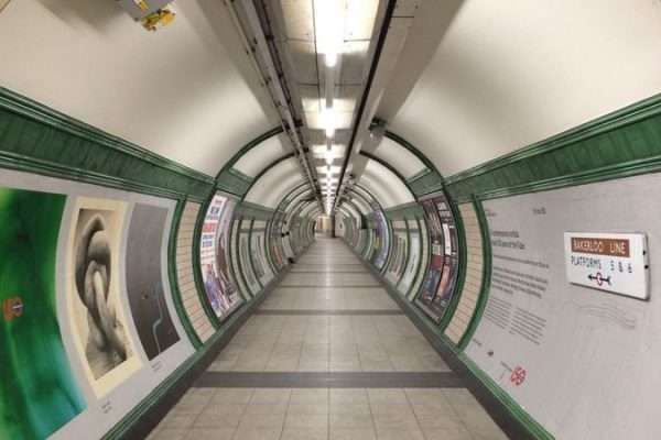 démarches pédagogiques pour la séance